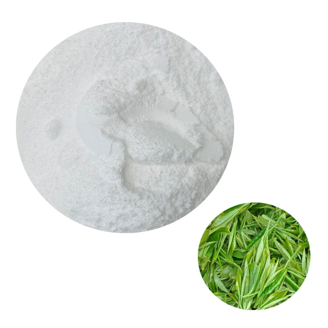 Organic Green Tea Extract L Theanine